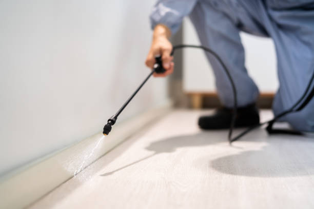 Licensed Mosquito Control service in Benton City, WA - Show Me Pest Control