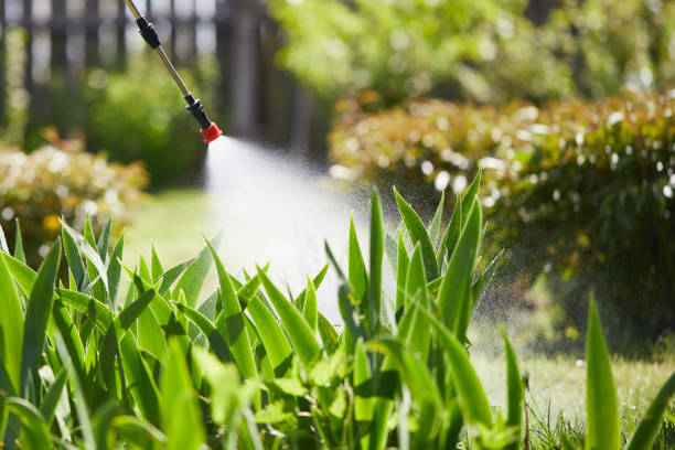 24/7 Emergency Mosquito Control experts in Benton City, WA