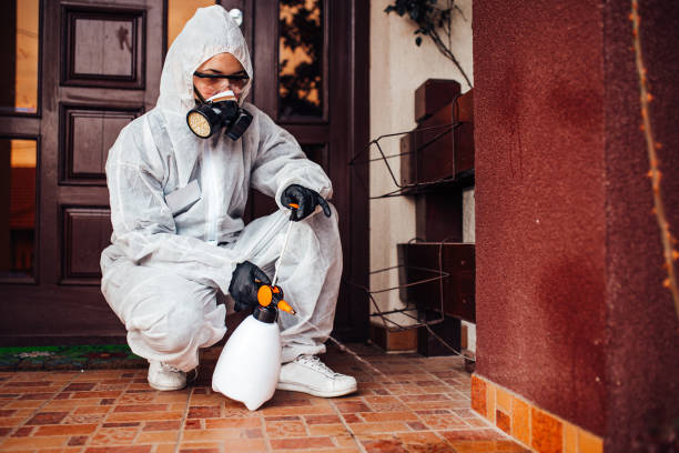 Reliable Mosquito Control contractor in Benton City, WA by Show Me Pest Control